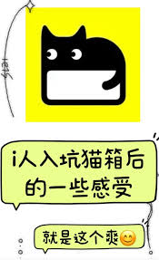 猫箱ai软件如何删除作品