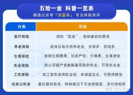医保断缴三个月有啥影响
