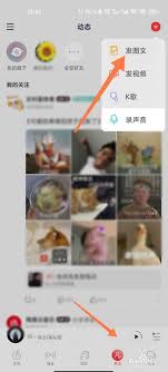 网易云音乐如何添加动态语音