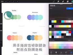 procreate取色方法