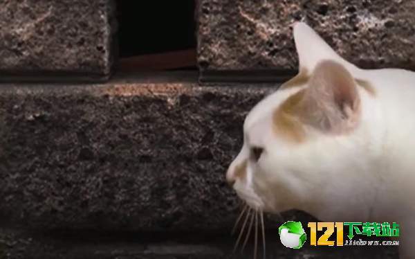 猫头怪谈2