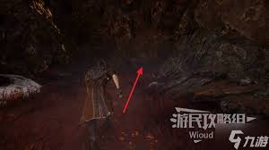 光与影33号远征队吕涅焚身结怎么获取