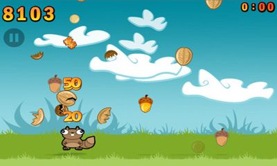 Noogra Nuts2