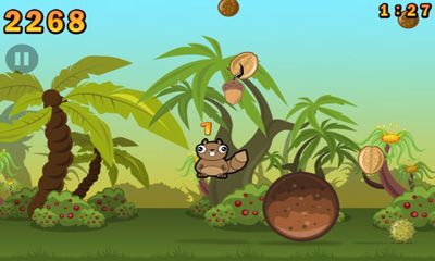 Noogra Nuts3