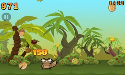 Noogra Nuts6