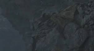 怪物猎人荒野超越巅峰尸体在哪