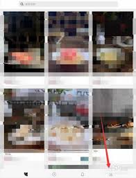 花瓣app如何解绑手机号