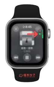 如何调节applewatch音量