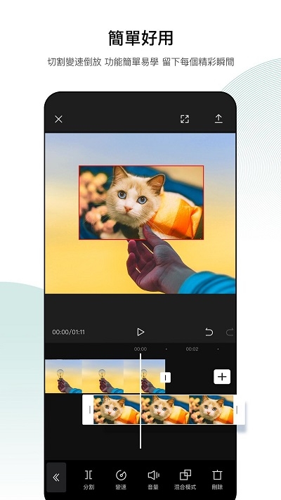 CapCut2