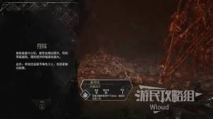 光与影33号远征队死亡精力一符纹怎么获取