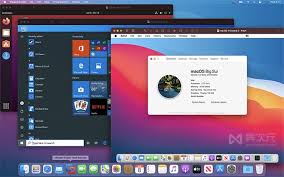 vmware能否在MacOS上运行