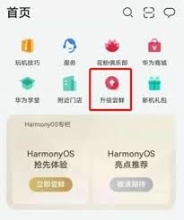 鸿蒙系统mate30怎么升级