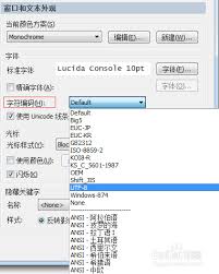 SecureCRT如何设置成中文