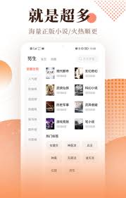 书源丰富的小说软件有哪些