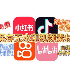 哔哩哔哩如何保存完整视频到相册