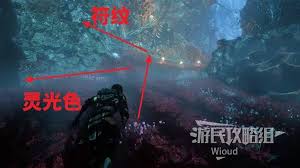 光与影33号远征队标记射击怎么获取