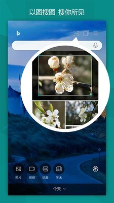 必应bing(Microsoft Bing)4
