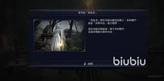 艾尔登法环黑夜君临复仇者怎么用