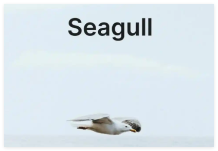 Seagull1