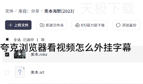 夸克浏览器如何添加看视频外挂字幕