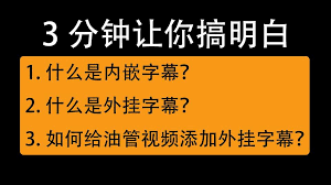 夸克浏览器如何添加看视频外挂字幕