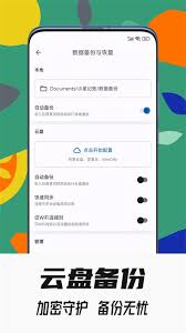 小星记账如何导入旧手机备份