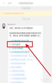 哔哩哔哩手机号怎么解绑