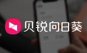 向日葵远程如何设置全屏