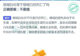 珊瑚白化是否等于珊瑚死亡