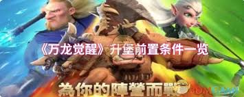 万龙觉醒升堡前置条件是什么