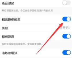 钉钉视频镜像如何调整