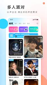 pp语音怎么开厅