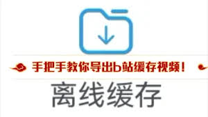 b站点踩按钮换回了缓存按钮
