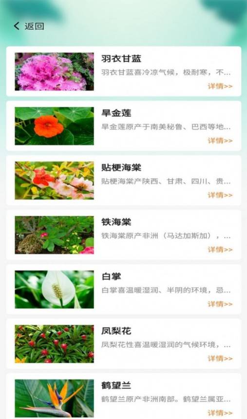 百草万象园4