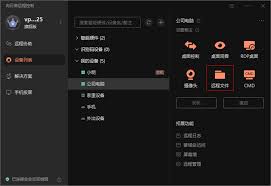 向日葵远程控制如何拷贝文件
