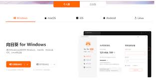 向日葵远程控制如何拷贝文件