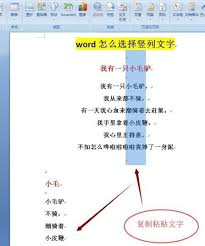 Word中如何快速竖向选择内容