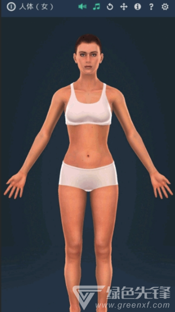 人体系统女性3D软件(专业3D人体结构)V1.1 安卓最新版2