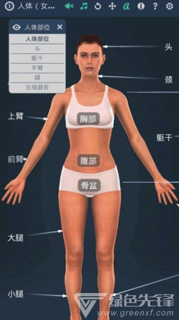 人体系统女性3D软件(专业3D人体结构)V1.1 安卓最新版3