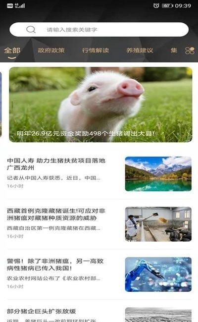 金猪数据2