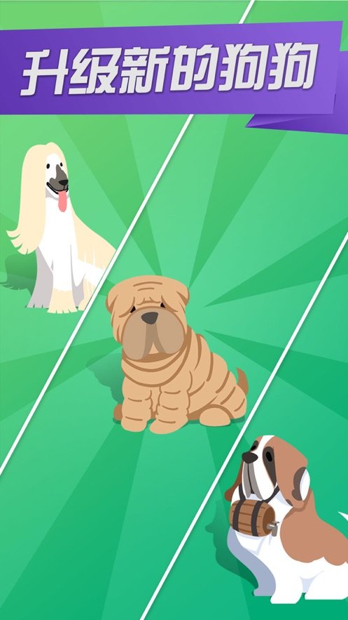 开心犬舍1
