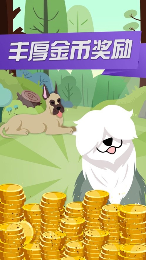 开心犬舍3