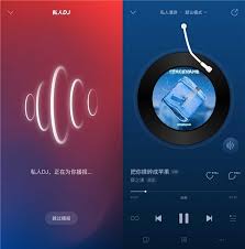 网易云音乐怎样关闭私人dj