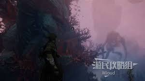 光与影33号远征队多才多艺怎么获取