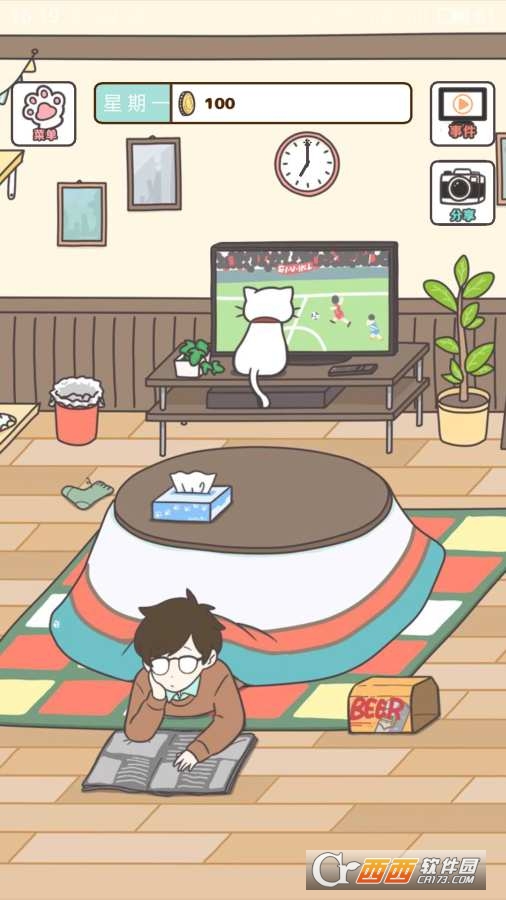 猫咪饲养日常
