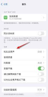iOS怎么打开杜比全景声