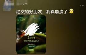 在哪看和你在qq上羁绊最深的人