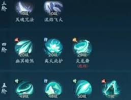 踏风行法宗技能如何搭配