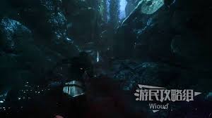 光与影33号远征队应急坚壳怎么获取