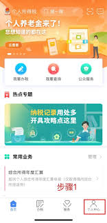 个人所得税APP受聘单位被冒用如何处理